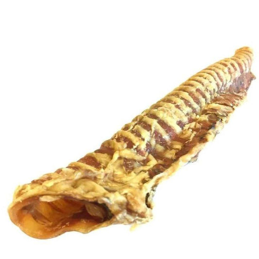 Natural Dog Treats - Beef Trachea - 25cm & 40cm