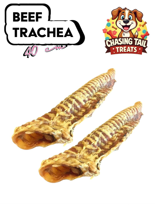 Natural Dog Treats - Beef Trachea - 25cm & 40cm