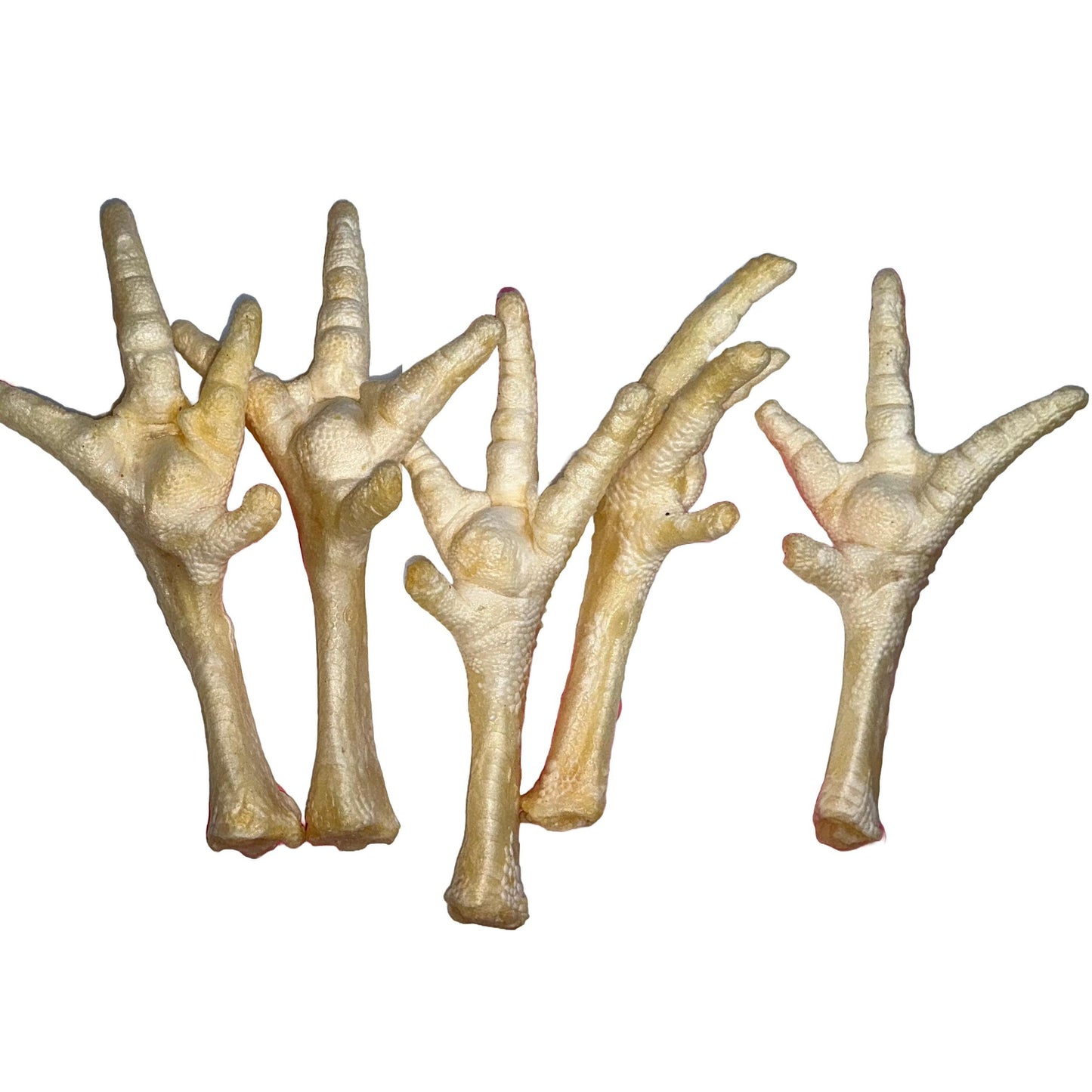 Natural Dog Treats -Chicken Feet Puffed