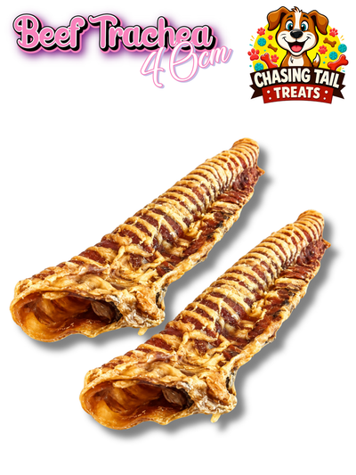 Beef Trachea