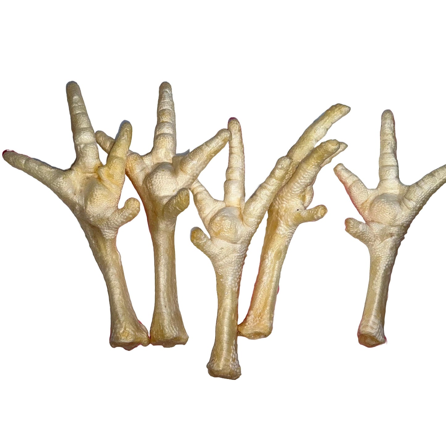 Natural Dog Treats -Chicken Feet Puffed