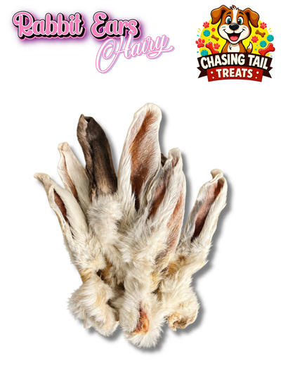 Hairy Rabbit Ears