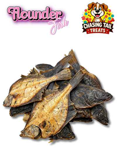 Flounder Fish