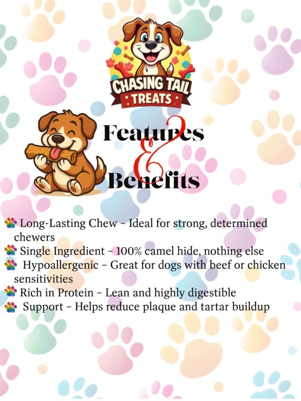 Natural Dog Treats - Jumbo Camel Skin Roll
