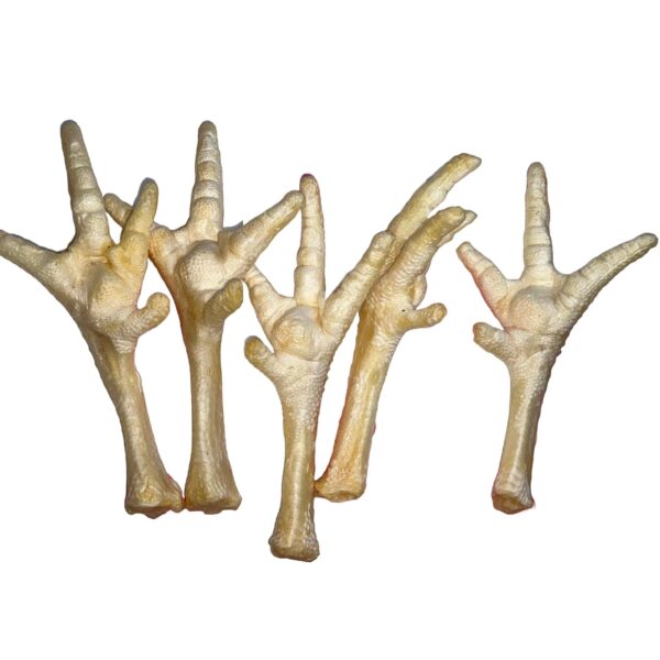 Natural Dog Treats -Chicken Feet Puffed - 500g
