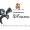 Natural Dog Treats - Buffalo Horns Meat Filled Small