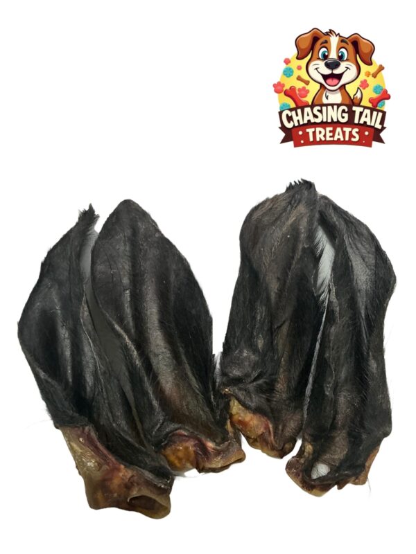 Natural Dog Treats - Hairy Buffalo Ears - 10PCS
