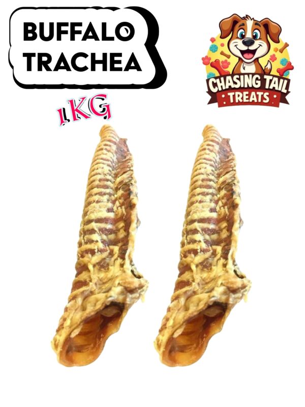Natural Dog Treats - Buffalo Trachea - 1KG