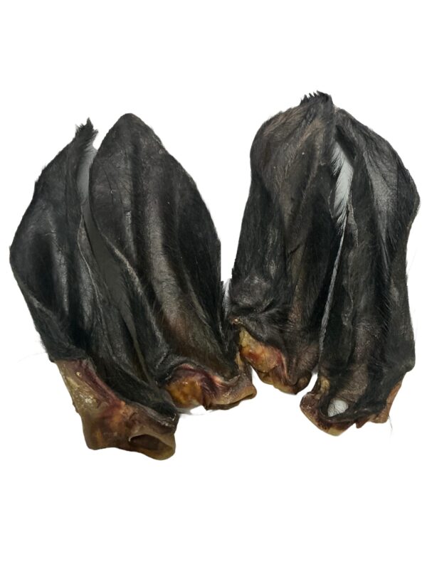 Natural Dog Treats - Hairy Buffalo Ears - 10PCS