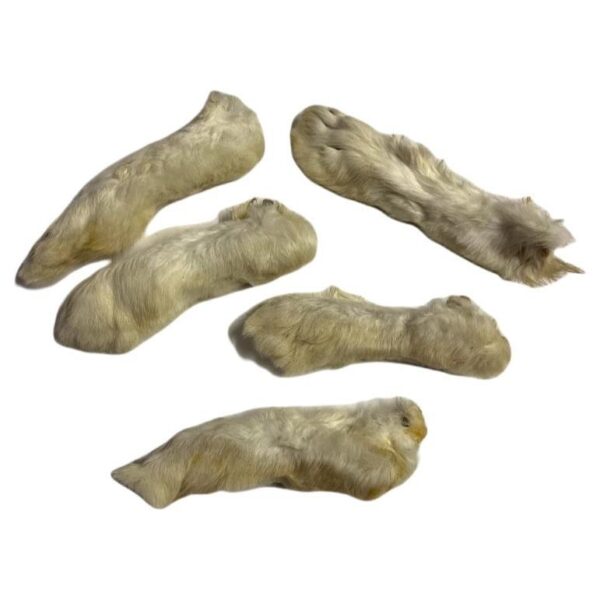 Natural Dog Treats - Rabbit Feet with Fur - 1 KG