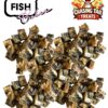 Natural Dog Treats - Fish Cubes 200G - Great Source of Vitamins and Omega-3 Fatty Acids