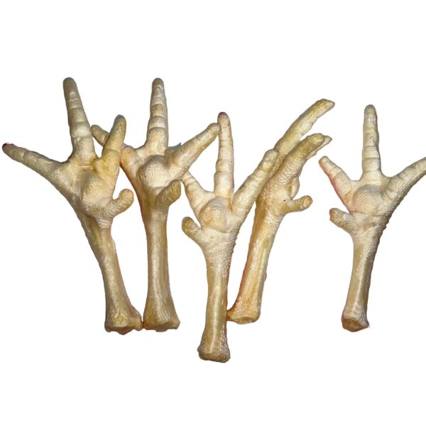 Natural Dog Treats -Chicken Feet Puffed - 500g