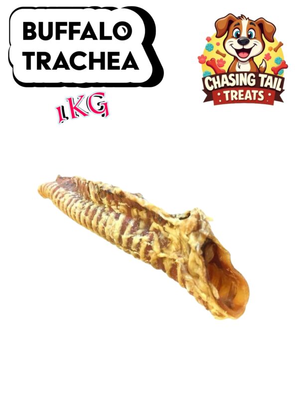 Natural Dog Treats - Buffalo Trachea - 1KG