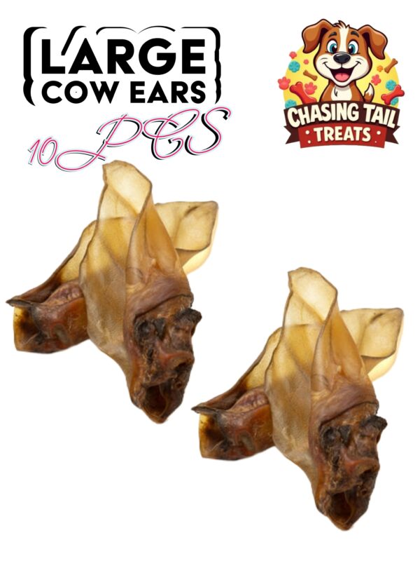Natural Dog Treats  - Large Cow Ears - no fur - 10PCS