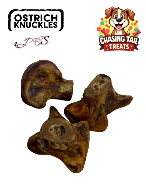 Natural Dog Treats - Ostrich Knuckles - 1PC