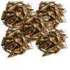 Natural Dog Treats - Sprats Baltic - 100G