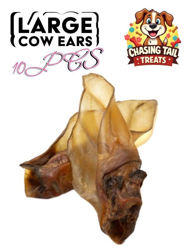 Natural Dog Treats  - Large Cow Ears - no fur - 10PCS