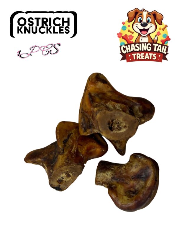 Natural Dog Treats - Ostrich Knuckles - 1PC
