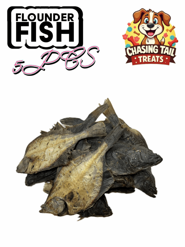 Flounder Fish - 5PCS